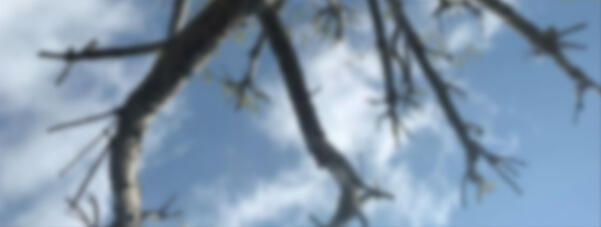 IMPORTANT INFO ABOUT ME